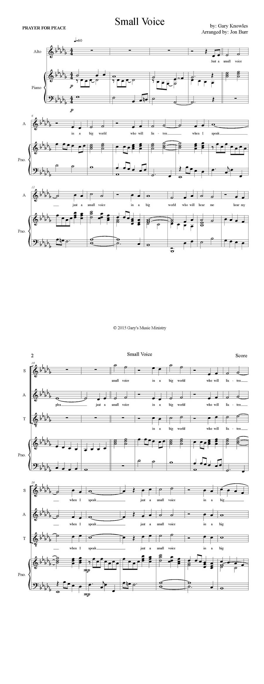 Small Voice - Image 3