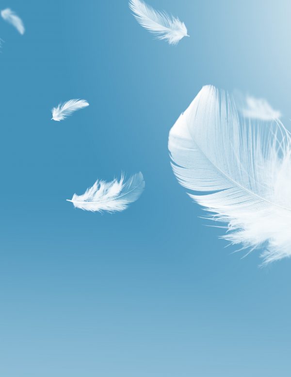 Some Days It’s Chicken